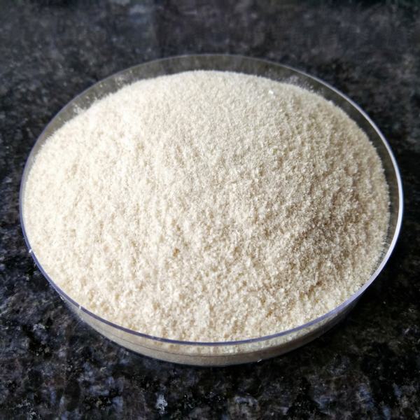 Chitosan Powder